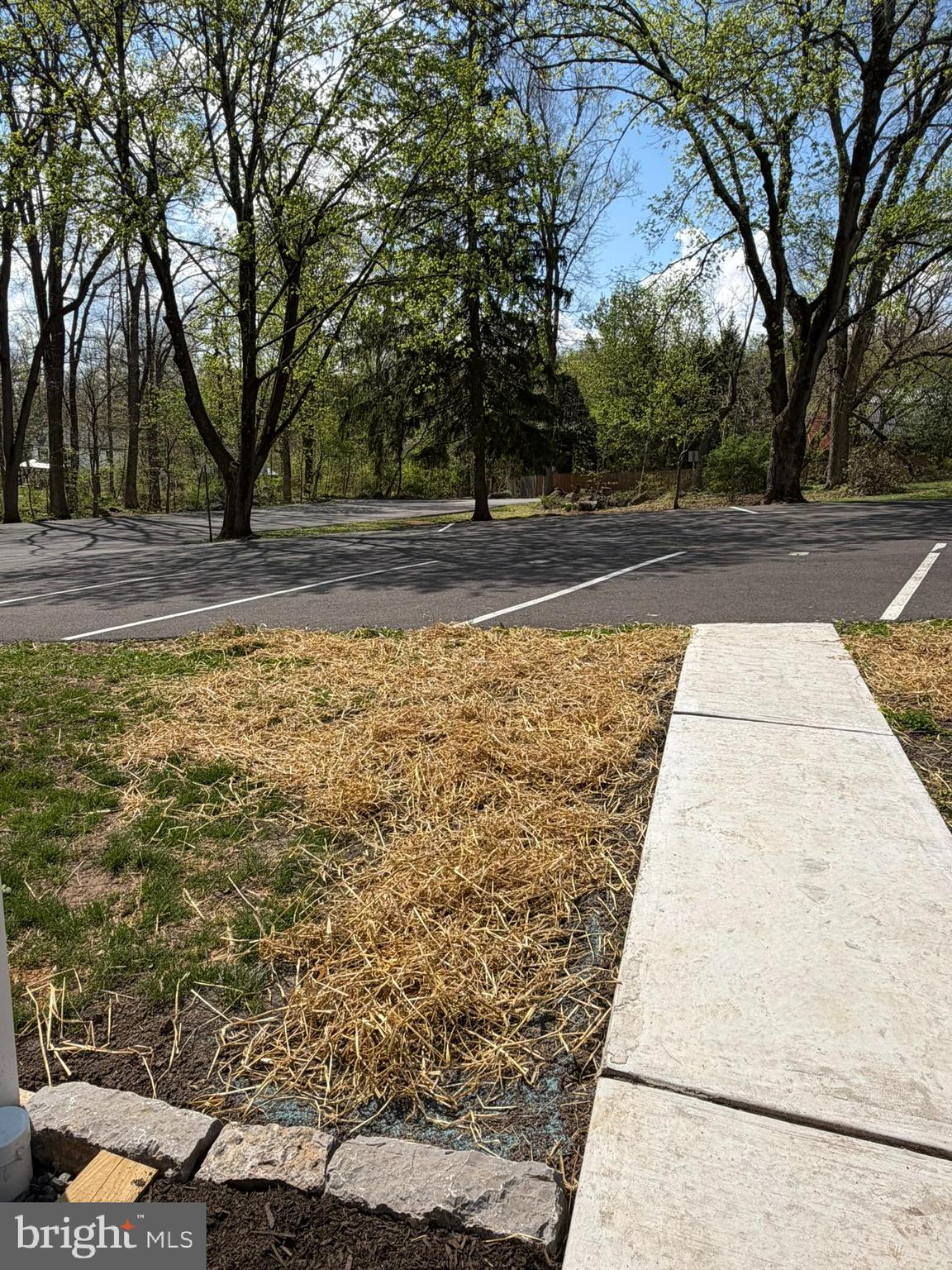 365 East Cherry Road Quakertown, PA 18951 - Photo 48 of 51 a view of yard with large tree