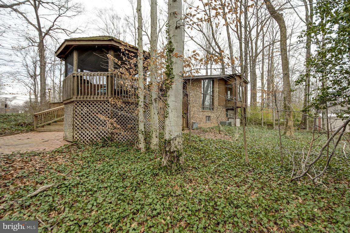 7231 Braddock Road Springfield, VA 22151 - Photo 6 of 30 Exterior (Rear)