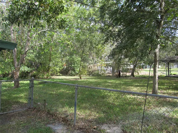 a view of a park with large trees