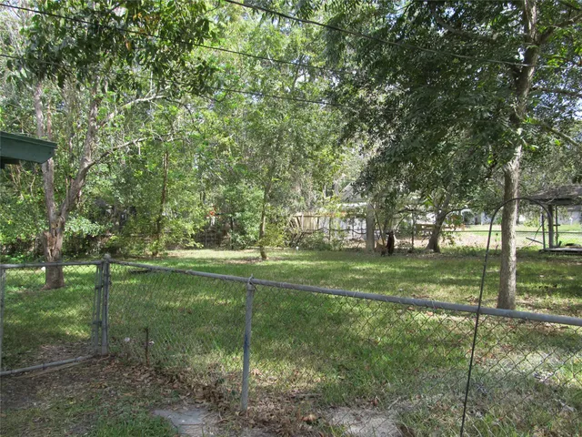 a view of a park with large trees