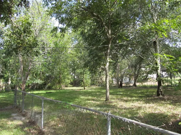 a view of a park with large trees
