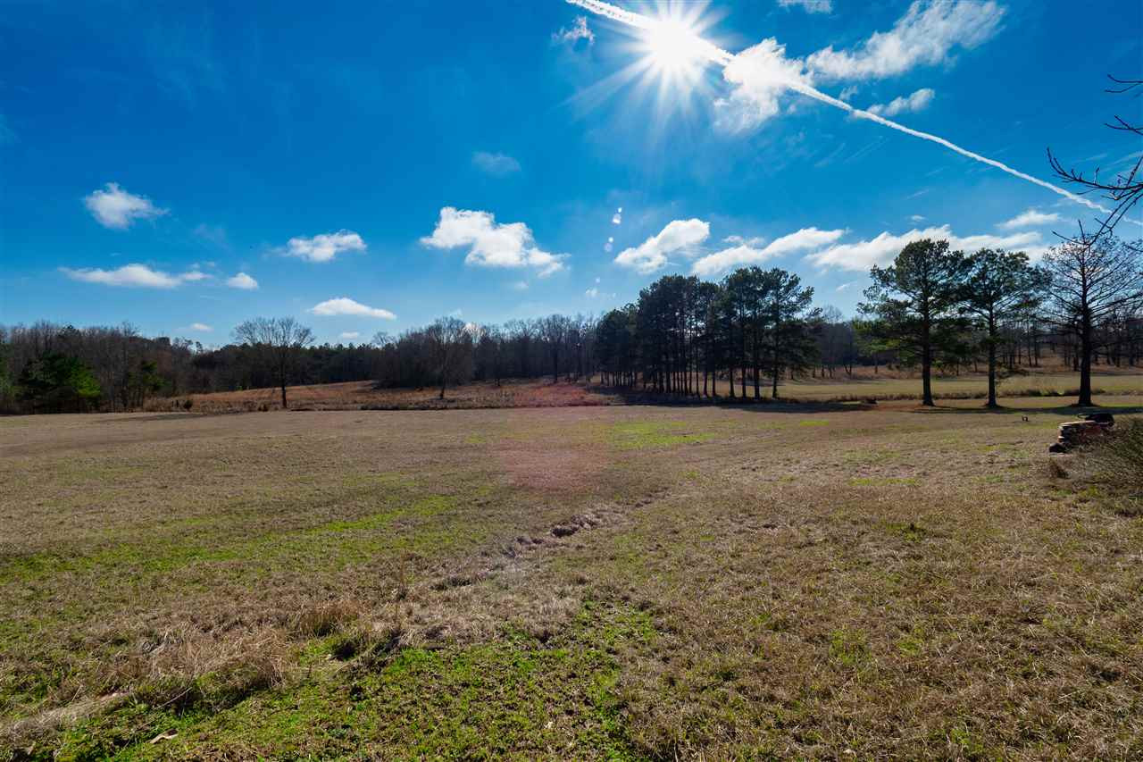 6244 Ebenezer-Pickens Road Pickens, MS 39146 - Photo 3 of 31 Photo 3