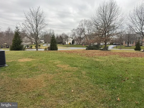 a large yard with lots of trees