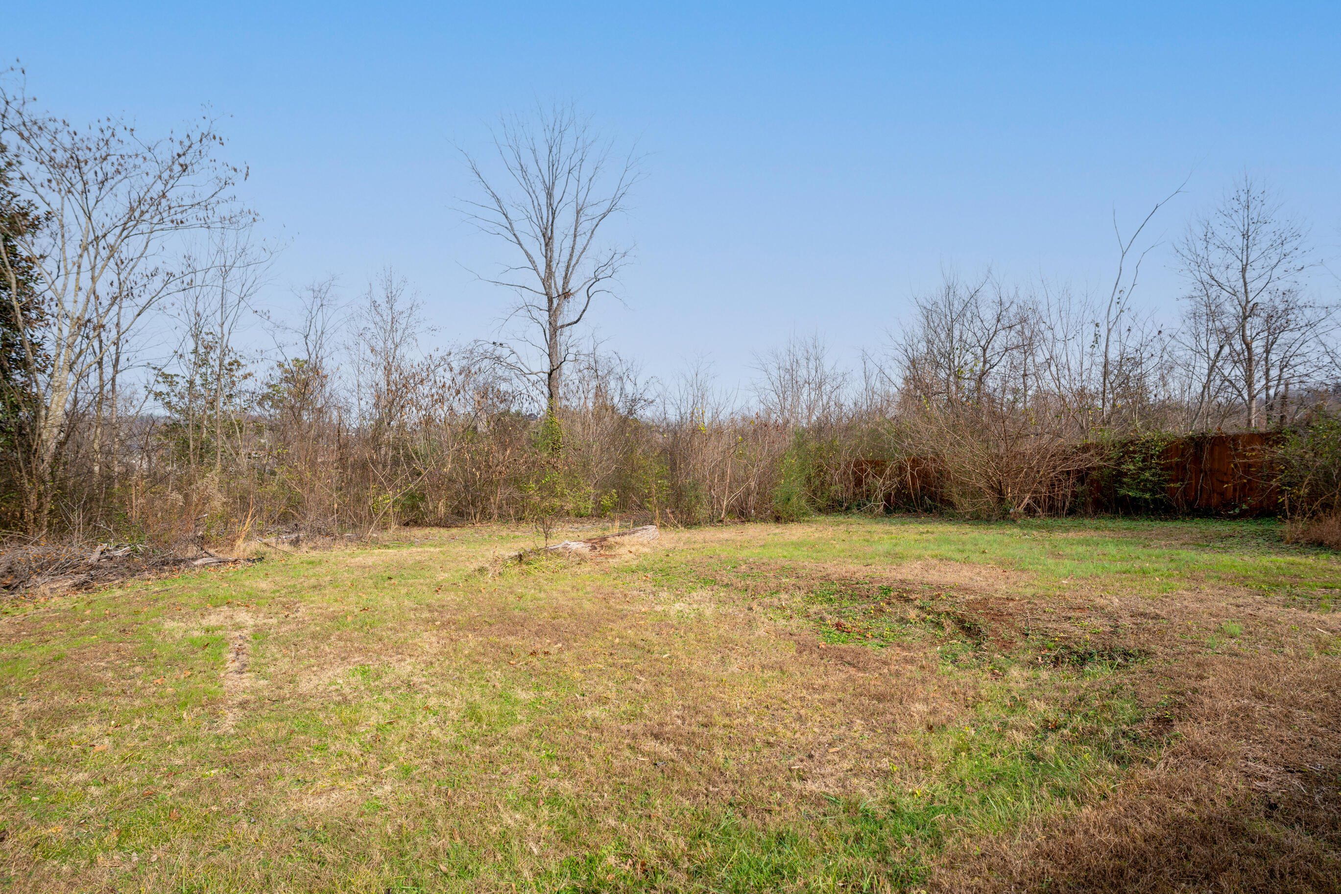 8009 Shallowford Road Chattanooga, TN 37421 - Photo 3 of 6 _DSC6699-Edit