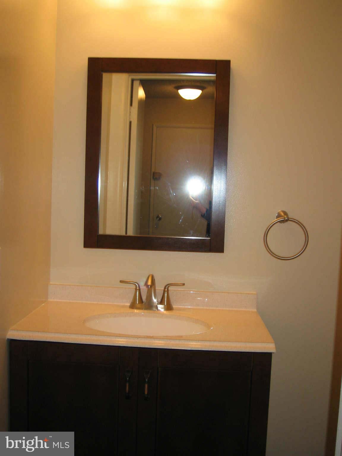 2291 White Cornus Lane Reston, VA 20191 - Photo 11 of 23 Main level