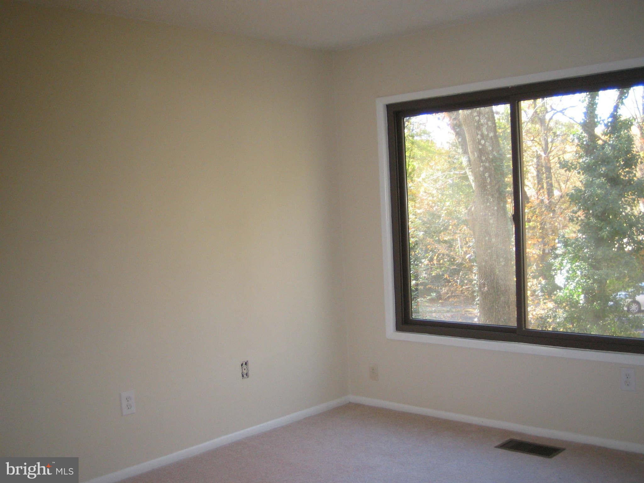 2291 White Cornus Lane Reston, VA 20191 - Photo 12 of 23 New carpet