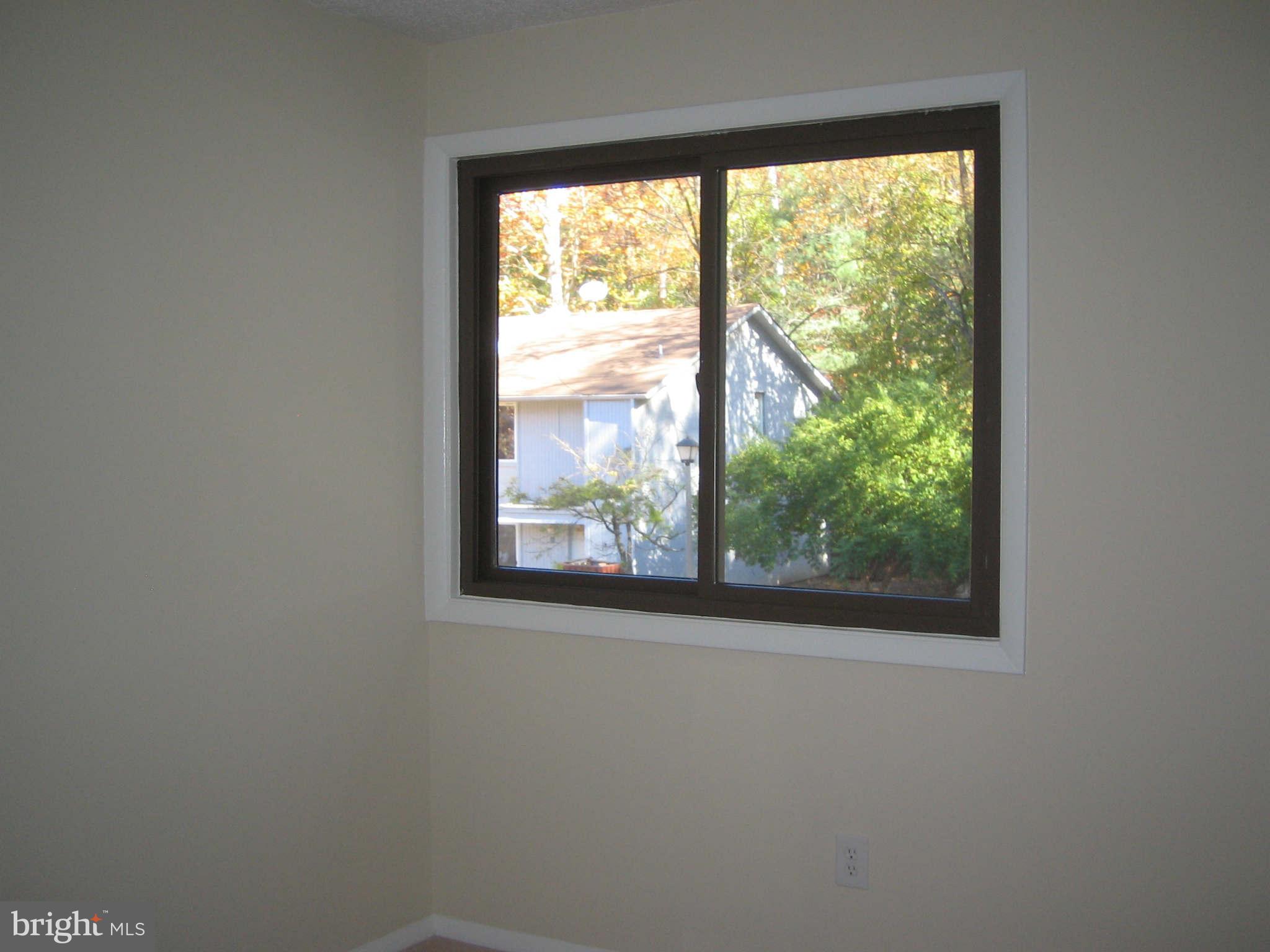 2291 White Cornus Lane Reston, VA 20191 - Photo 14 of 23 New carpet