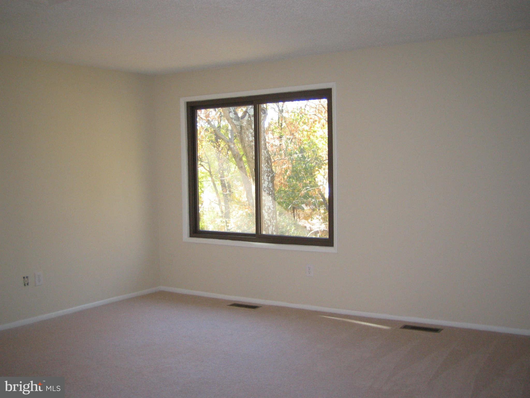 2291 White Cornus Lane Reston, VA 20191 - Photo 18 of 23 Loft