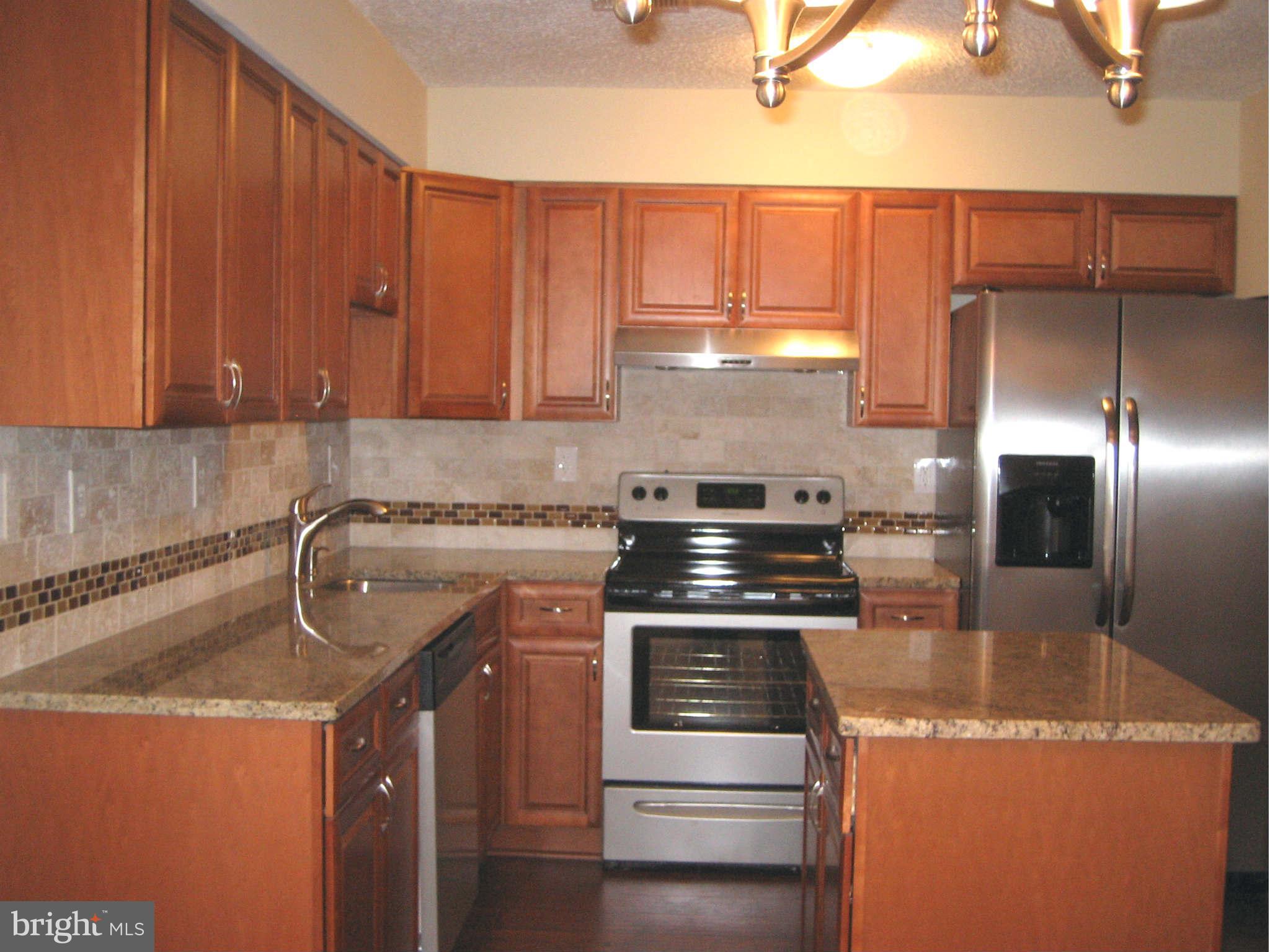 2291 White Cornus Lane Reston, VA 20191 - Photo 5 of 23 New cabinets & appliances