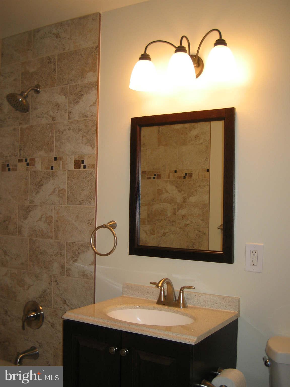 2291 White Cornus Lane Reston, VA 20191 - Photo 9 of 23 Renovated