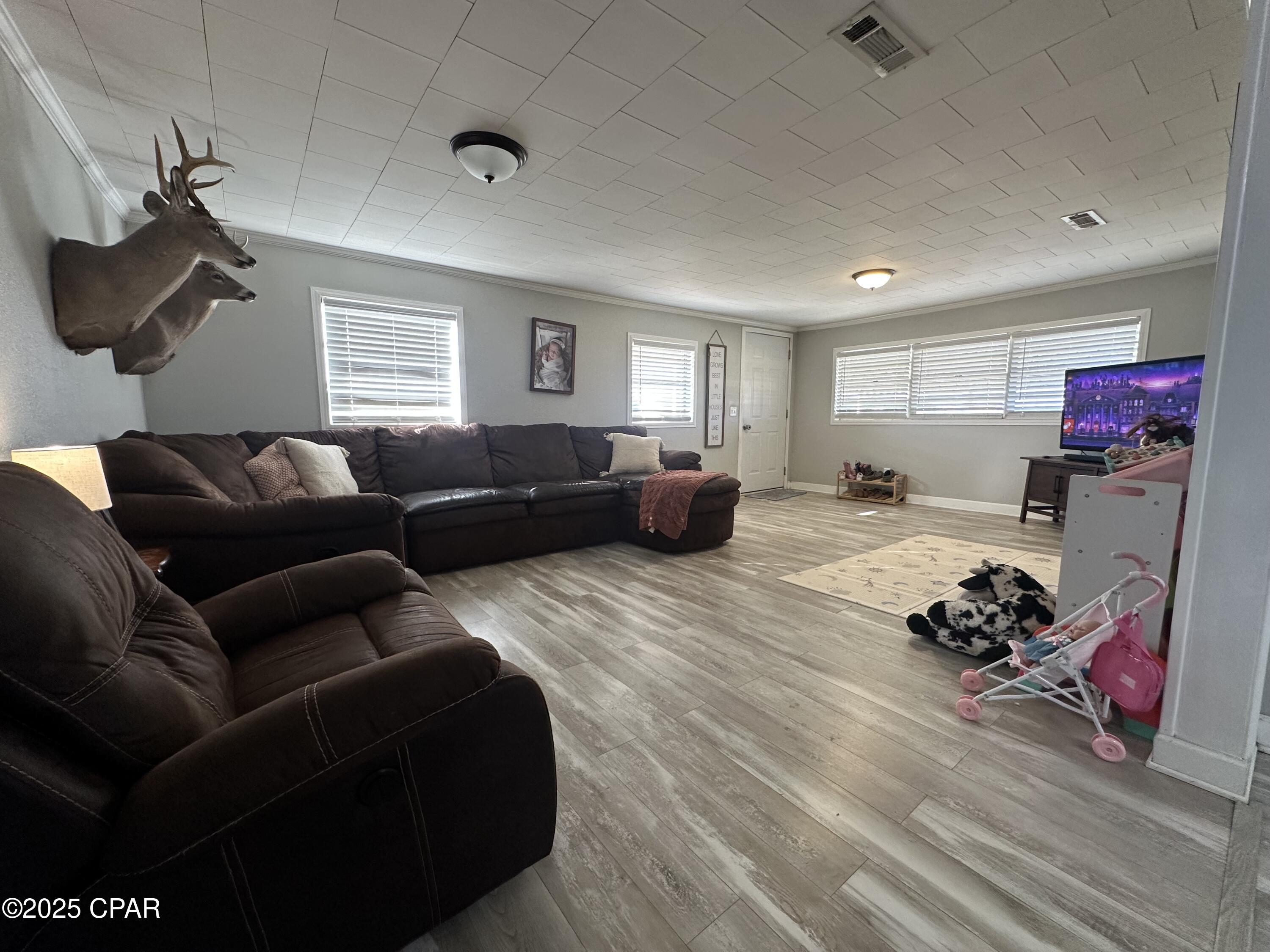 7135 Hamilton Road Grand Ridge, FL 32442 - Photo 3 of 15