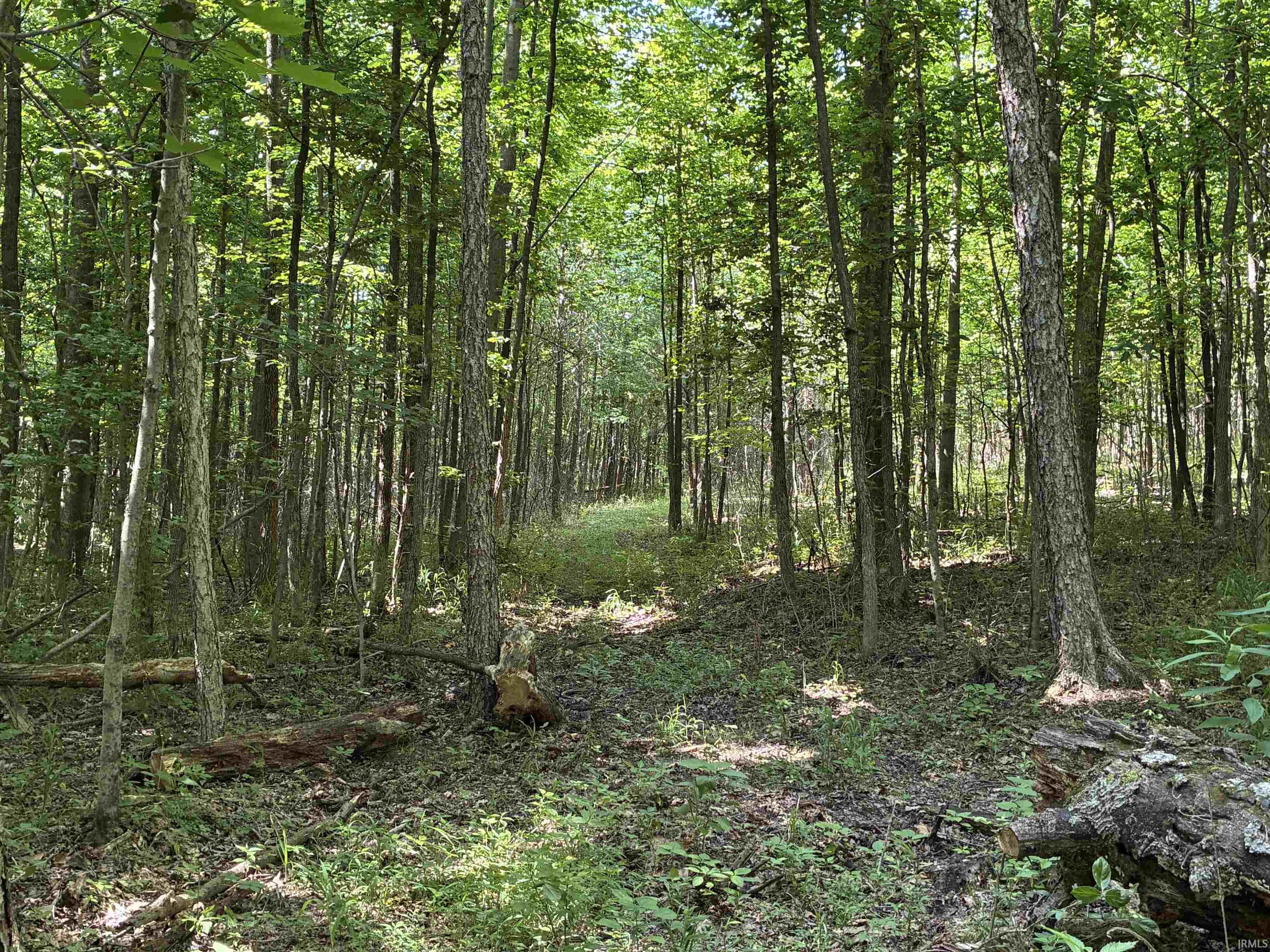 257 State Road Velpen, IN 47590 - Photo 15 of 29