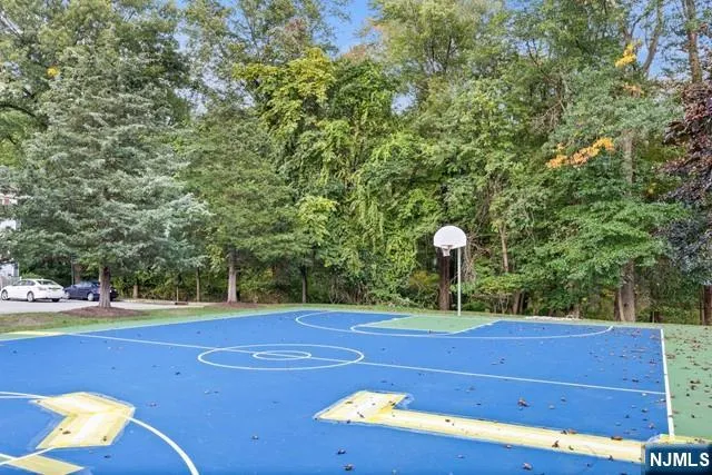 a view of a patio with lawn chairs potted plants and a palm tree
