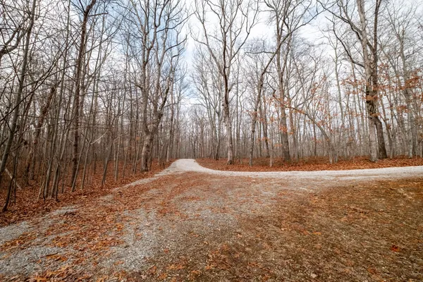 a view of backyard with tree