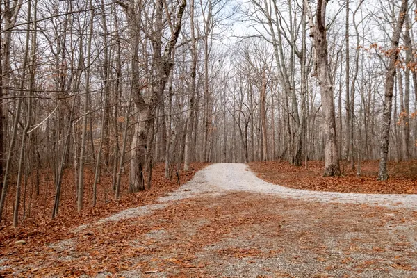 a wooden bench with trees in the background