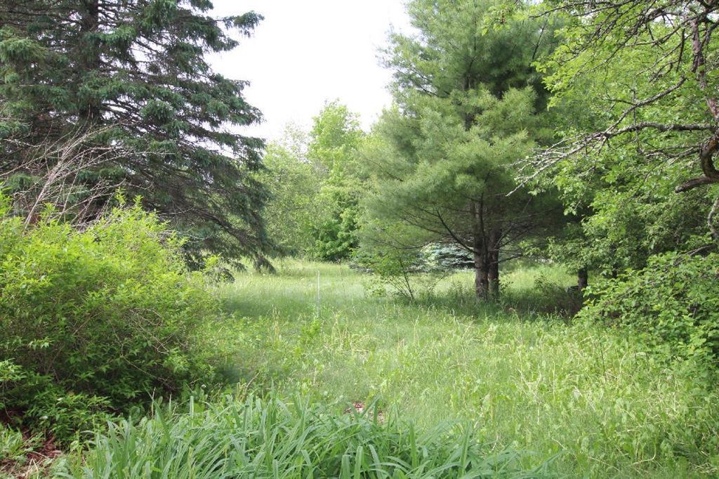 236 Ridge Road Robbinston, ME 04671 - Photo 20 of 24 land