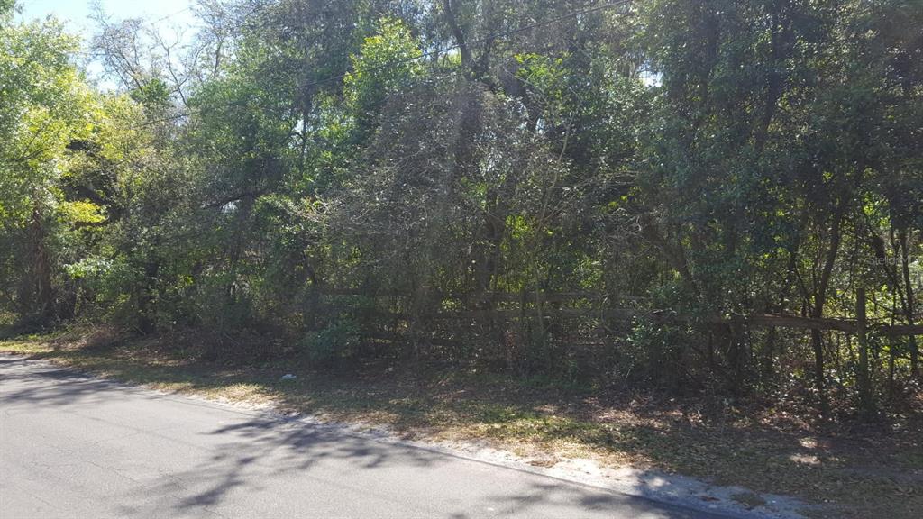 11119 Bessie Dix Road Seffner, FL 33584 - Photo 3 of 3