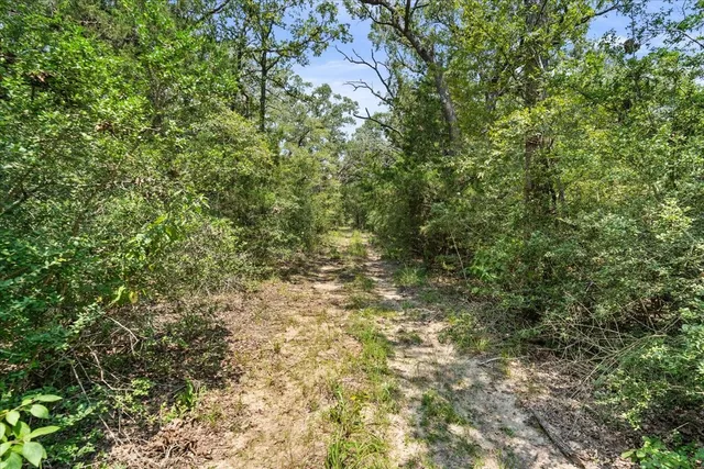 $830,607 | 0 Lcr 732, Thornton, TX 76687