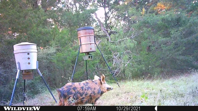 $830,607 | 0 Lcr 732, Thornton, TX 76687