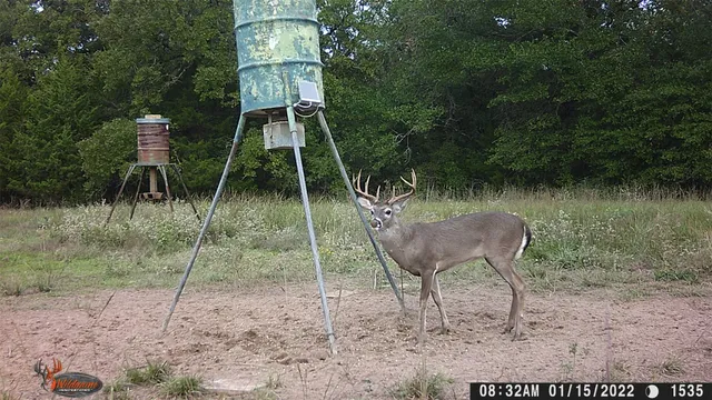 $830,607 | 0 Lcr 732, Thornton, TX 76687