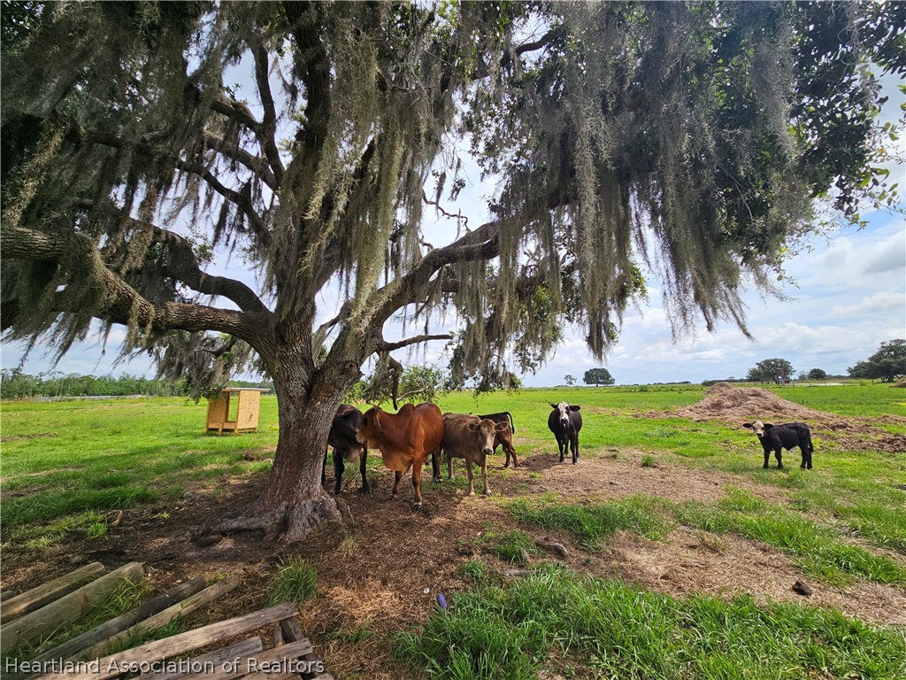 1013 Cattle Ranch Road Venus, FL 33960 - Photo 4 of 7