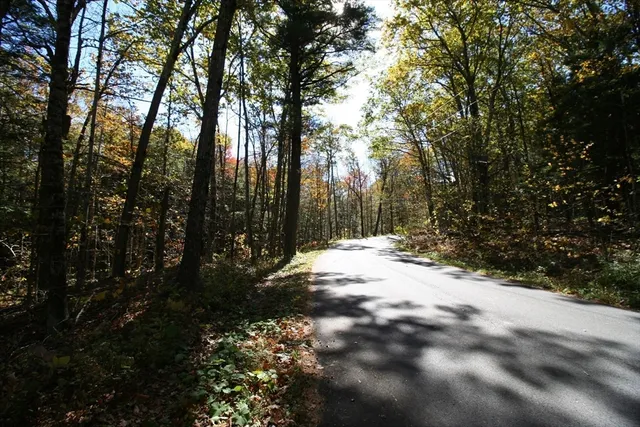 a view of a yard with plants and trees