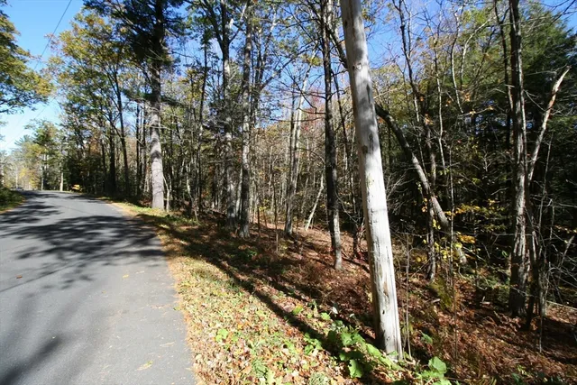 a view of a pathway both side of a yard
