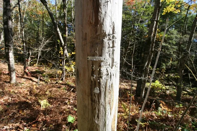 $446,000 | 0 Town Hill Road, Sandisfield, MA 01255