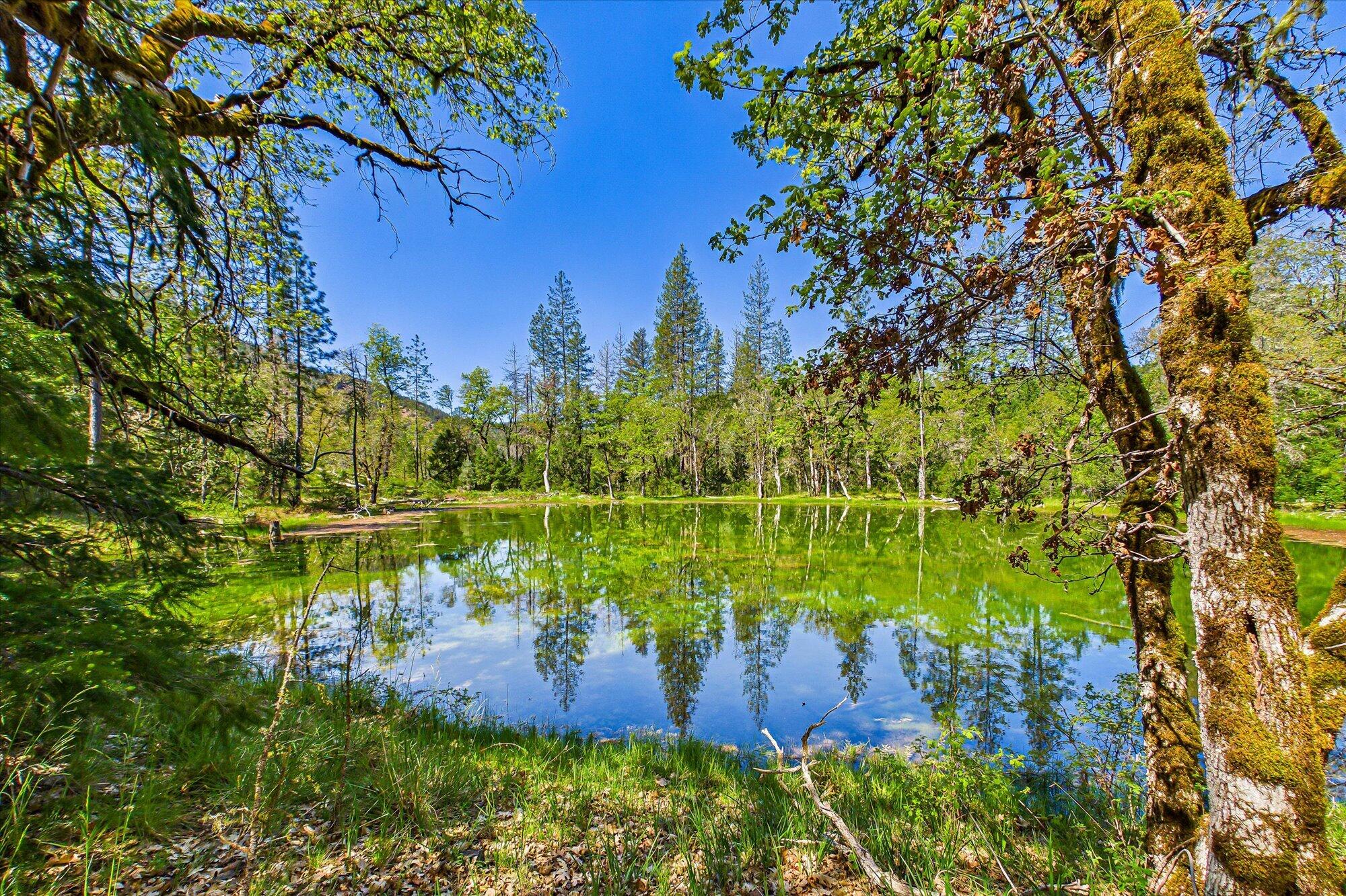 6691 Reading Creek Road Douglas City, CA 96024 - Photo 83 of 101 083-6691 Reading Creek-381