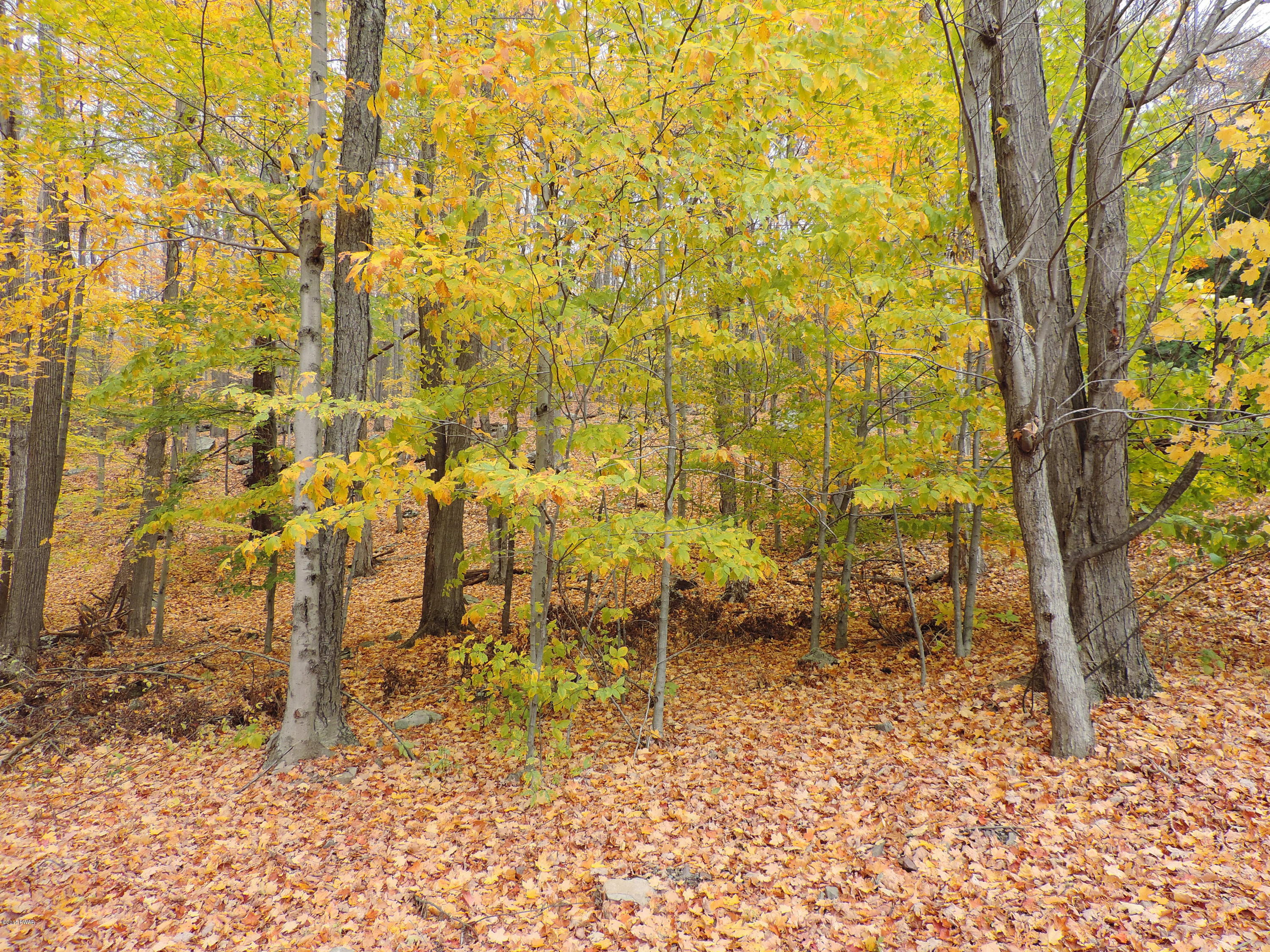 Lot 79 Lennon Road Greentown, PA 18426 - Photo 2 of 7 Gallery Image 2