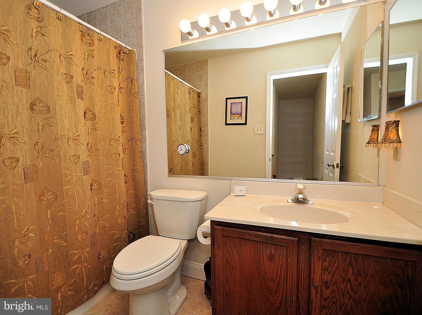 9502 Hallhurst Road Baltimore, MD 21236 - Photo 25 of 30 Bath (Master)