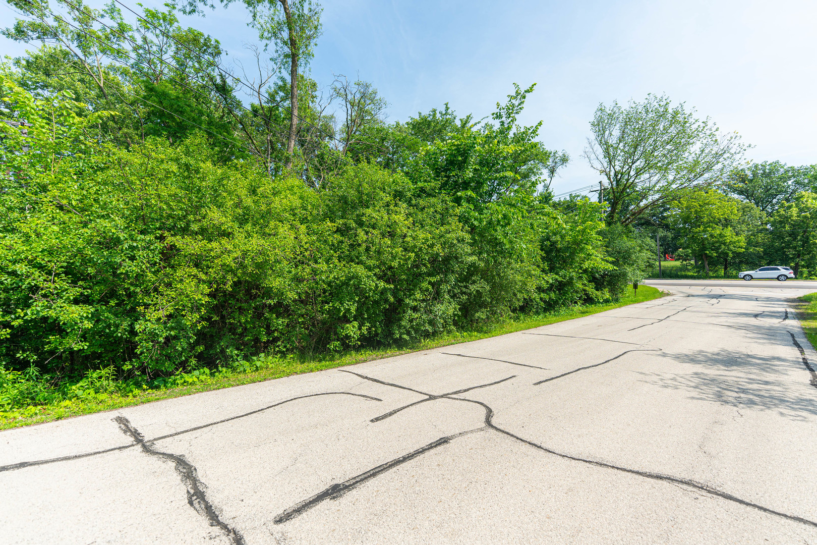 Lot 17-18 Roosevelt Road Winfield, IL 60190 - Photo 9 of 17 a view of a street with a trees