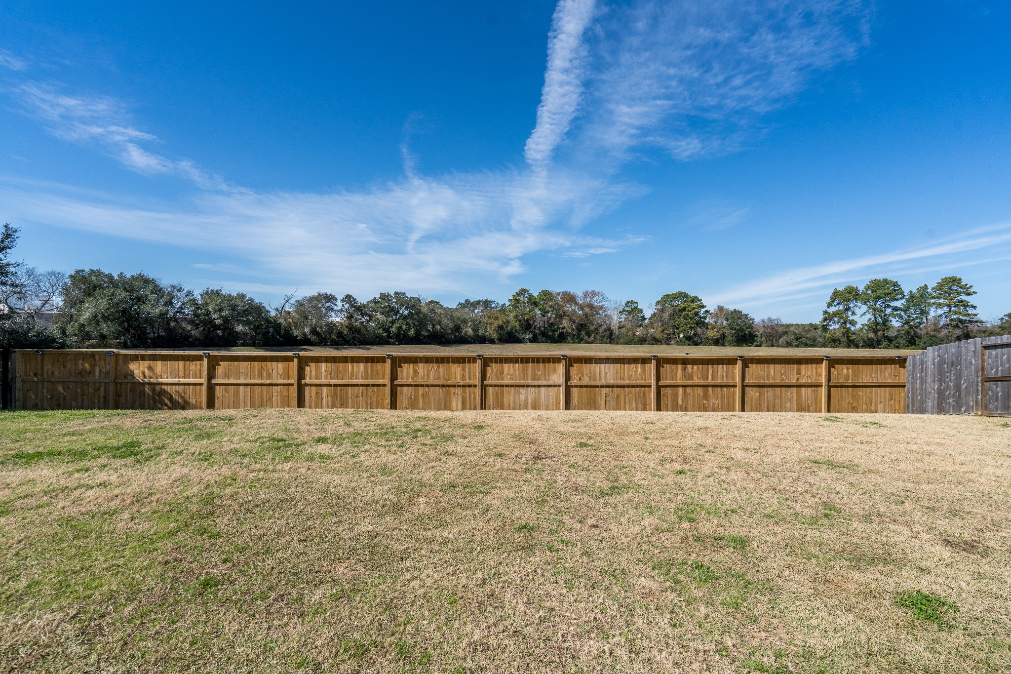 6231 Warwick Garden Lane Spring, TX 77379 - Photo 7 of 50 a view of a yard with wooden fence