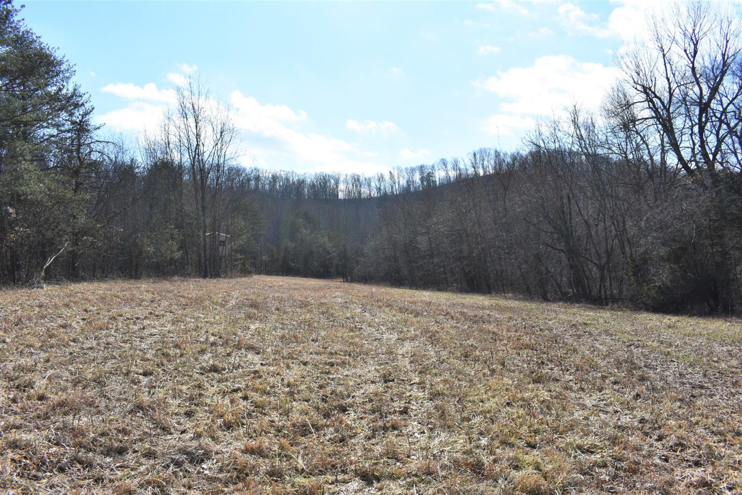 0 Brock Road Paint Lick, KY 40461 - Photo 10 of 21 Photo 10