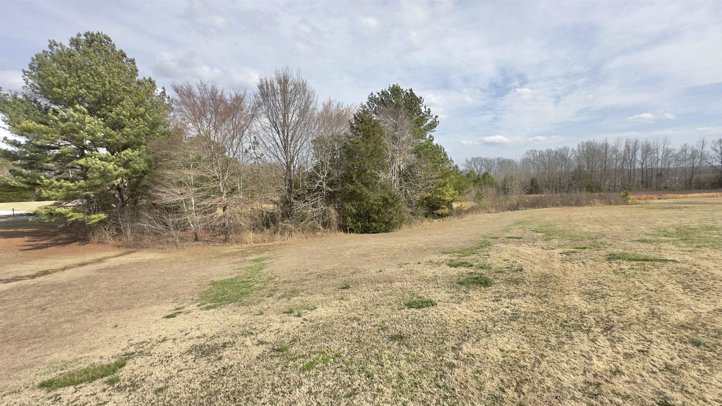 64 Station Road Beech Bluff, TN 38313 - Photo 32 of 39 Photo 32