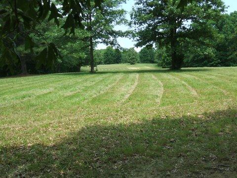 3990 Ronald Nunn Road Centerville, TN 37033 - Photo 11 of 16 Gallery Image 11