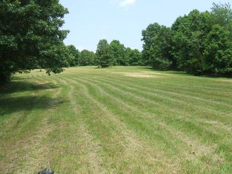 3990 Ronald Nunn Road Centerville, TN 37033 - Photo 12 of 16 Gallery Image 12