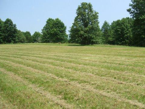 3990 Ronald Nunn Road Centerville, TN 37033 - Photo 13 of 16 Gallery Image 13