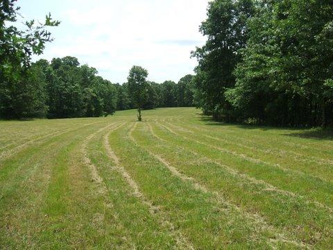 3990 Ronald Nunn Road Centerville, TN 37033 - Photo 14 of 16 Gallery Image 14