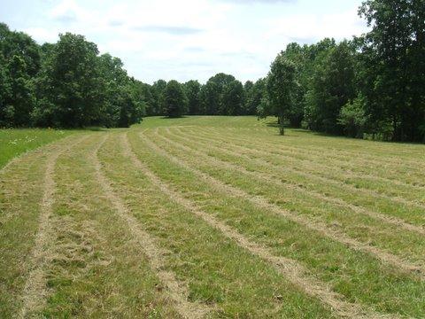 3990 Ronald Nunn Road Centerville, TN 37033 - Photo 15 of 16 Gallery Image 15