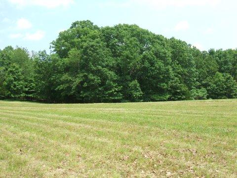 3990 Ronald Nunn Road Centerville, TN 37033 - Photo 16 of 16 Gallery Image 16
