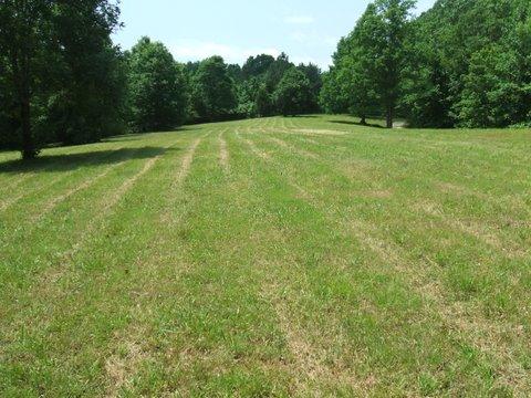 3990 Ronald Nunn Road Centerville, TN 37033 - Photo 9 of 16 Gallery Image 9