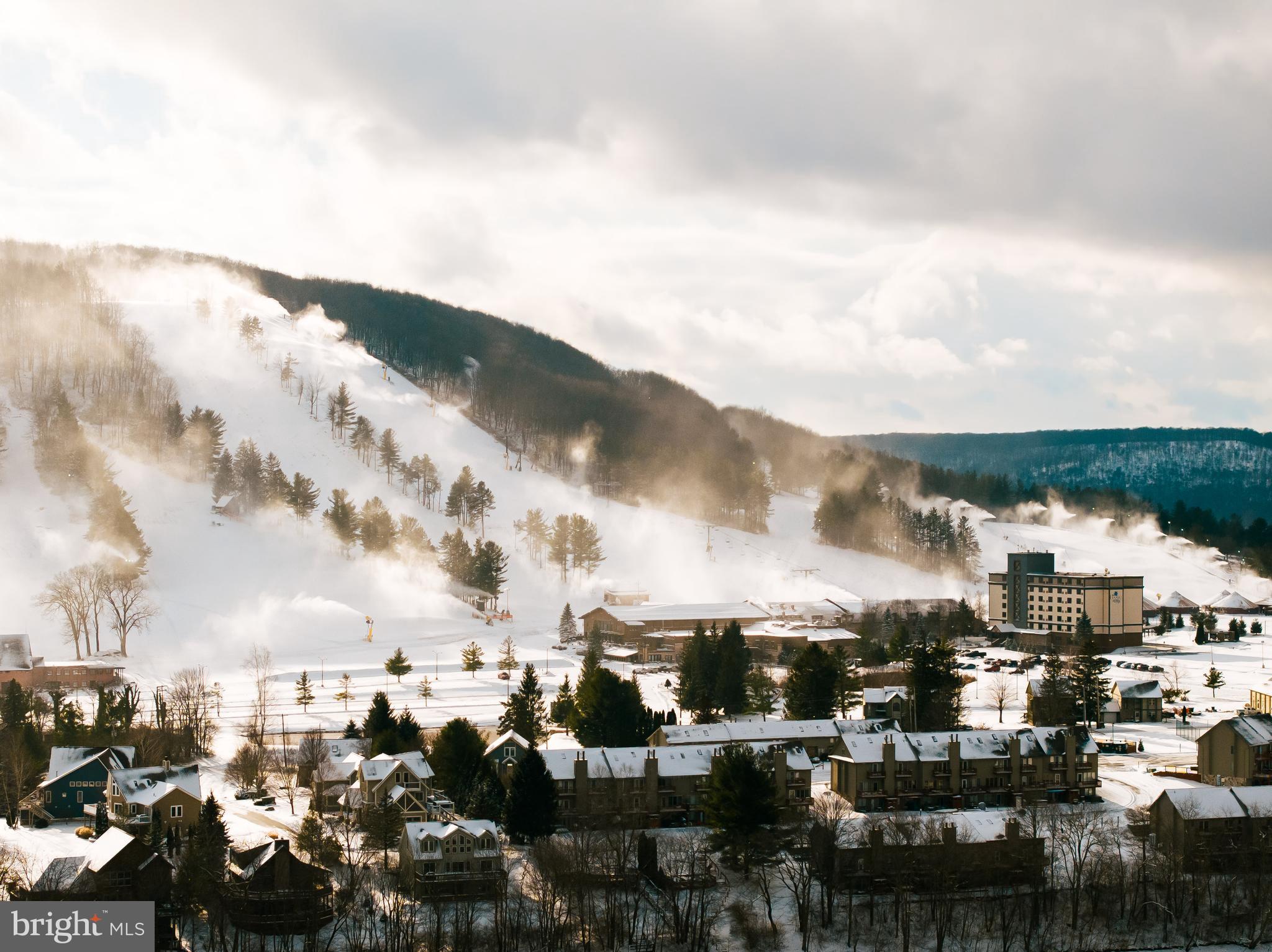 100 North Camp Road McHenry, MD 21541 - Photo 8 of 8 a view of a city