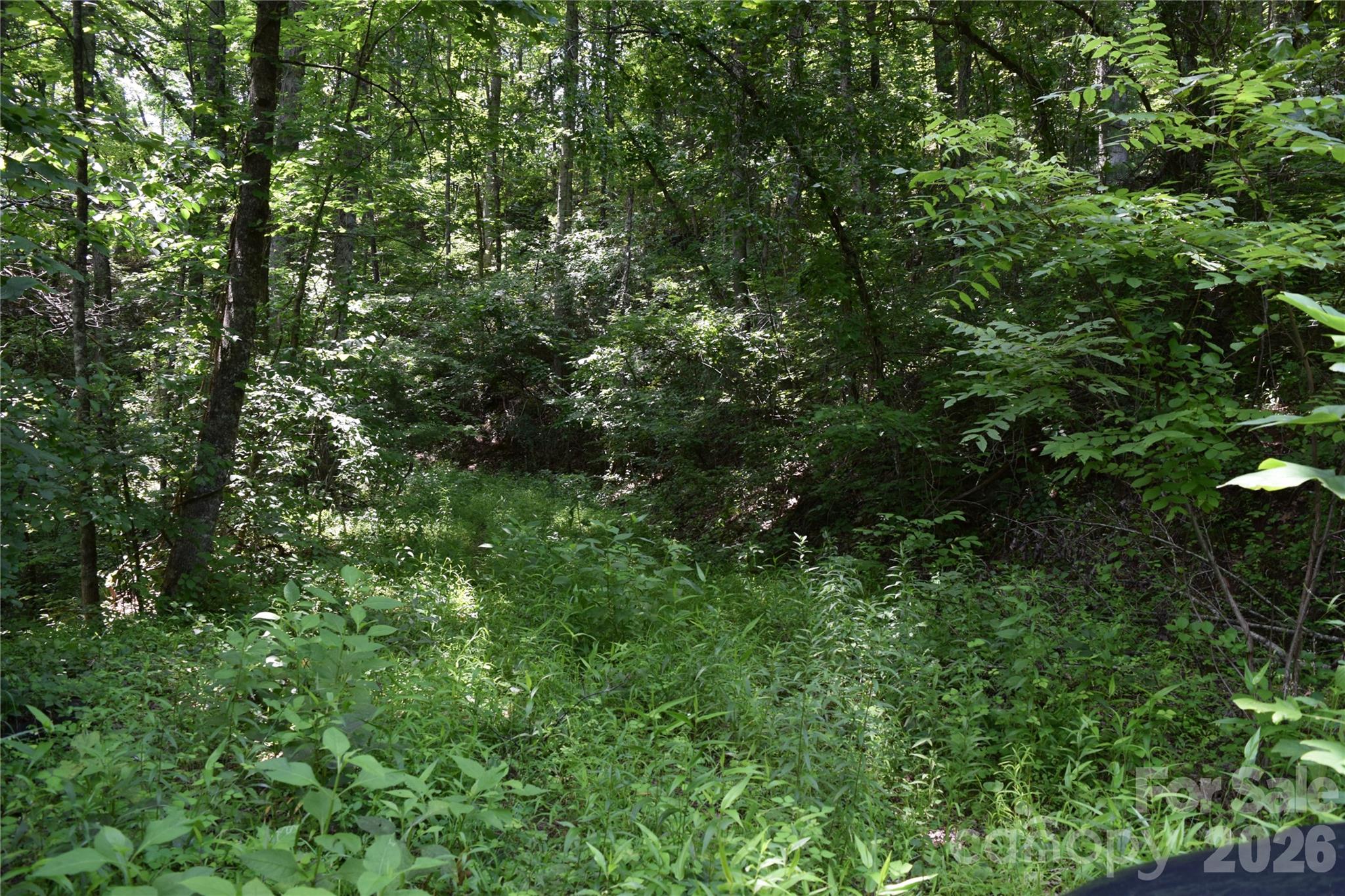 Tbd Bel Air Road, Unit 20 Cullowhee, NC 28723 - Photo 6 of 9