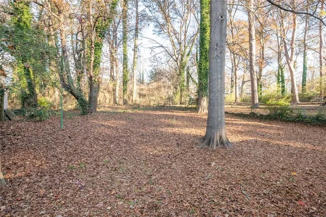 a house view with a backyard space