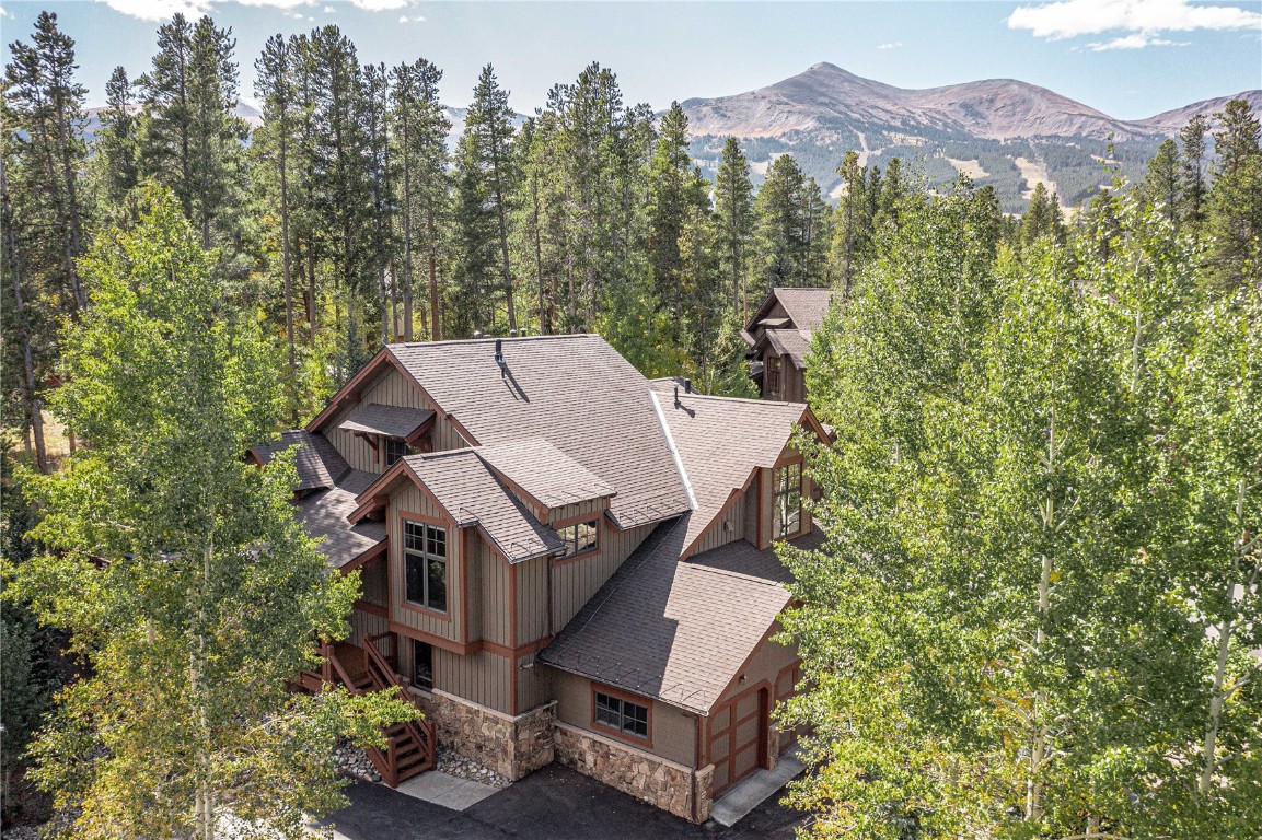 71 Cucumber Patch Placer Road, Unit 7 Breckenridge, CO 80424 - Photo 1 of 21 an aerial view of a house with a yard and mountain view