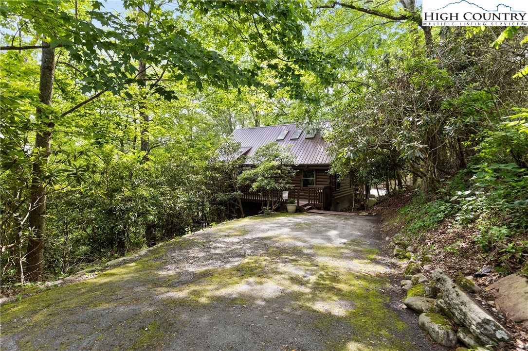 289 Grandview Drive Seven Devils, NC 28604 - Photo 41 of 43 a view of a yard with plants and trees