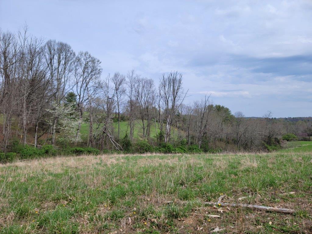 Tbd Hunters Ridge Road Hillsville, VA 24343 - Photo 30 of 64 Gallery Image 30