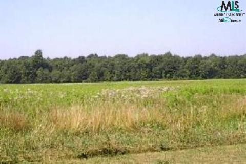 3330 Fargo Road Croswell, MI 48422 - Photo 4 of 9 694362-3.JPG
