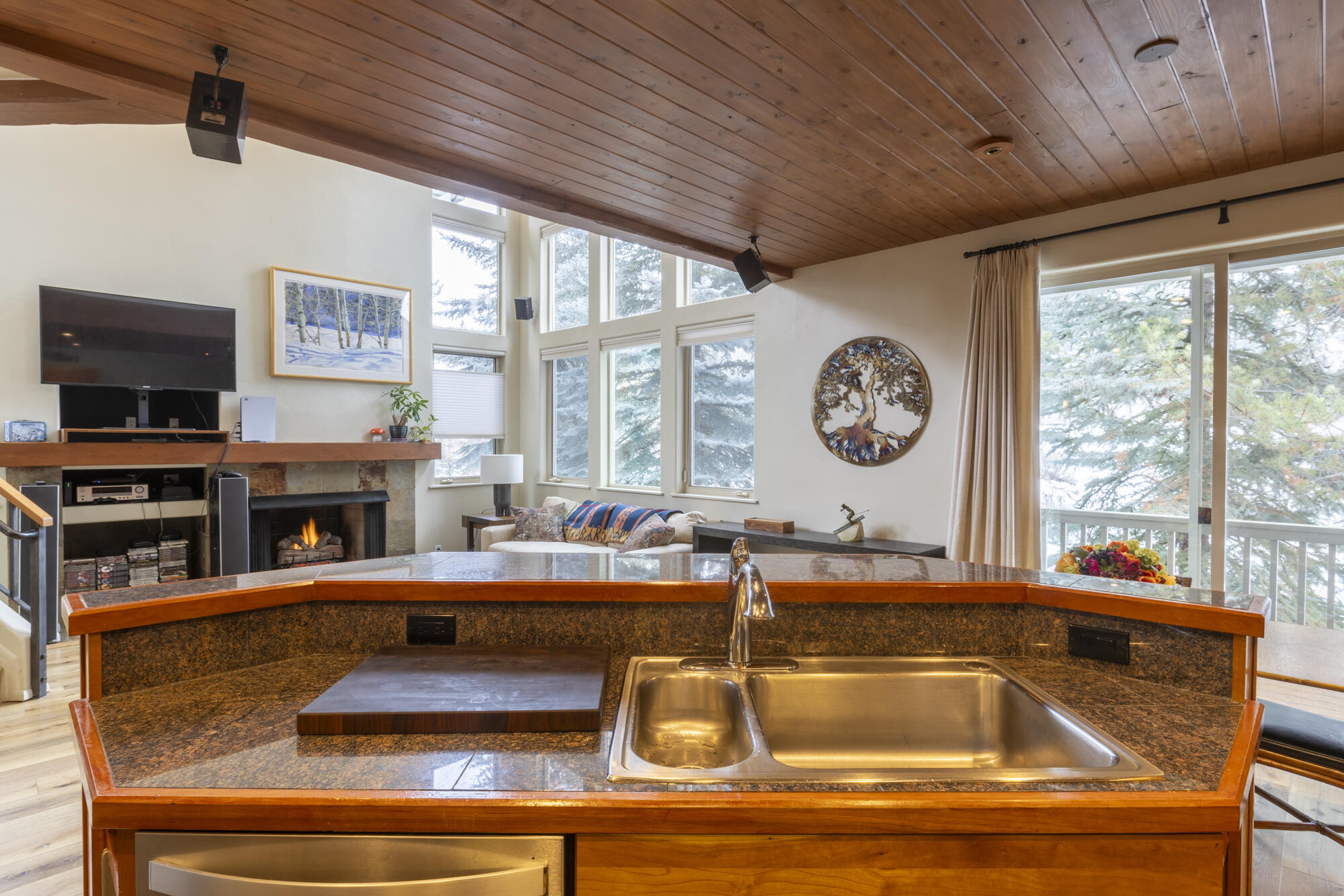 215 Bird Drive, Unit A Ketchum, ID 83340 - Photo 3 of 31 McCann.215.Bird.Dr.-31